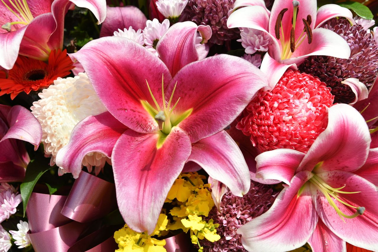 Offerings Close-up of a vibrant bouquet featuring red lilies and diverse flowers. Perfect for floral decor.