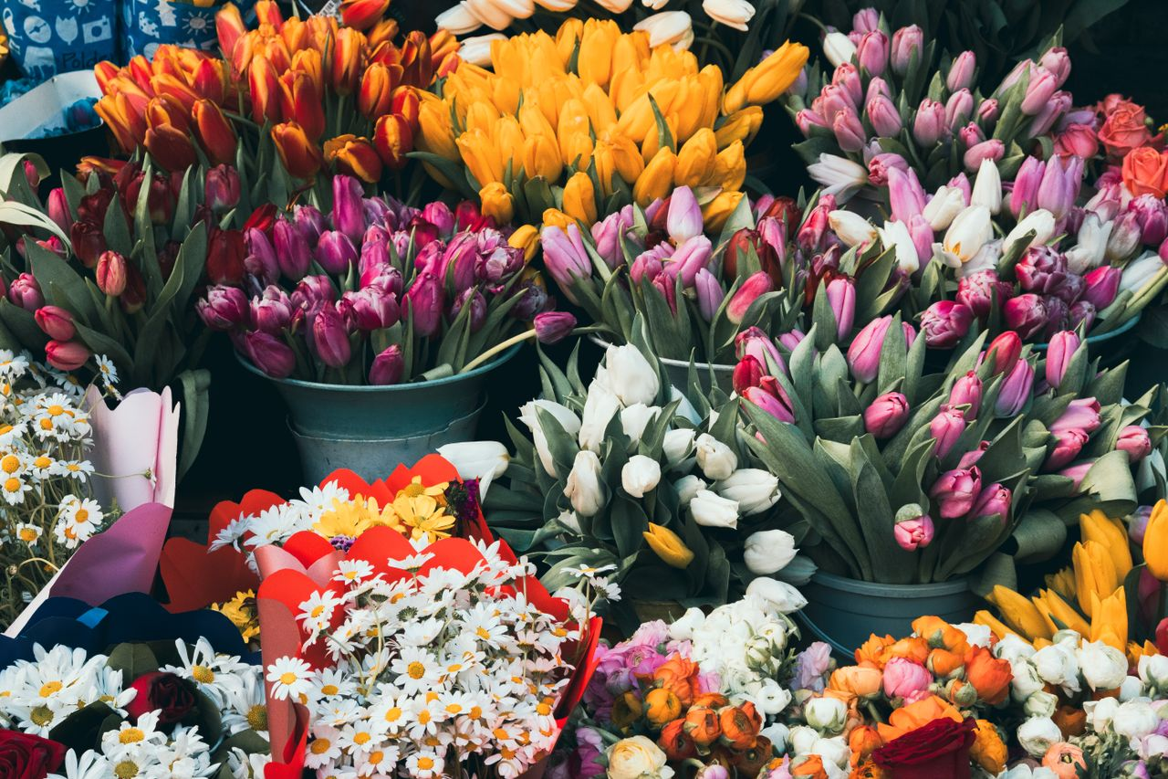 About Vibrant tulip bouquets on display at an outdoor market, capturing the essence of spring colors.